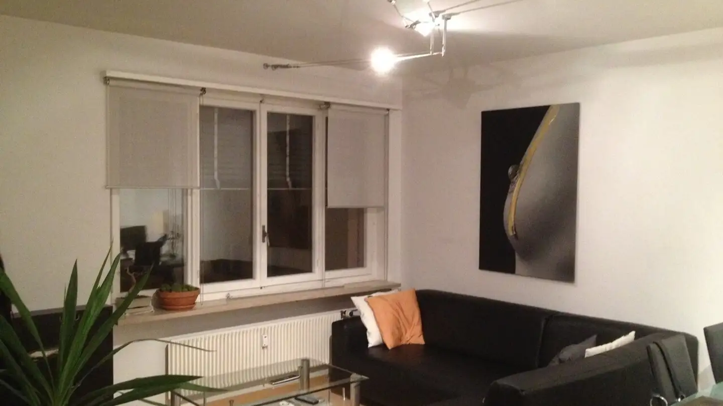 Wohnung mieten - Riehentorstrasse 33, 4058 Basel - Foto 3