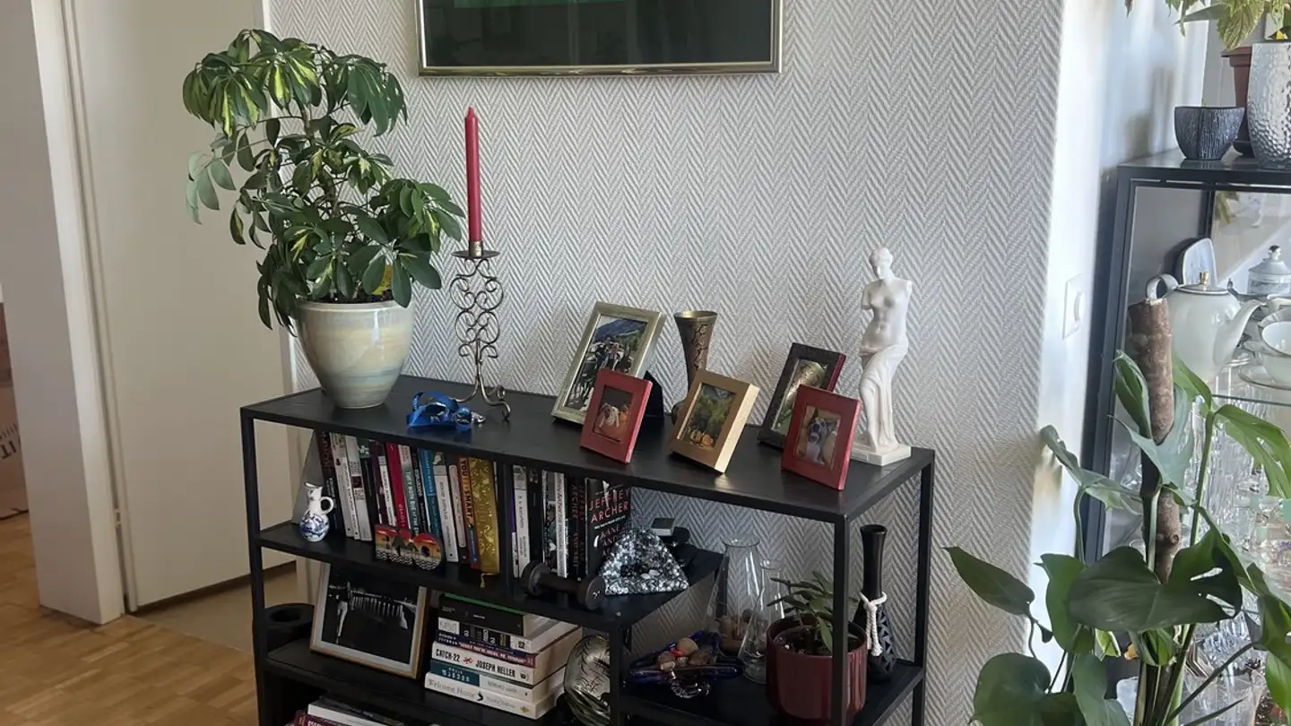 Maison individuelle à louer - Eggstrasse, 8102 Oberengstringen - Photo 2