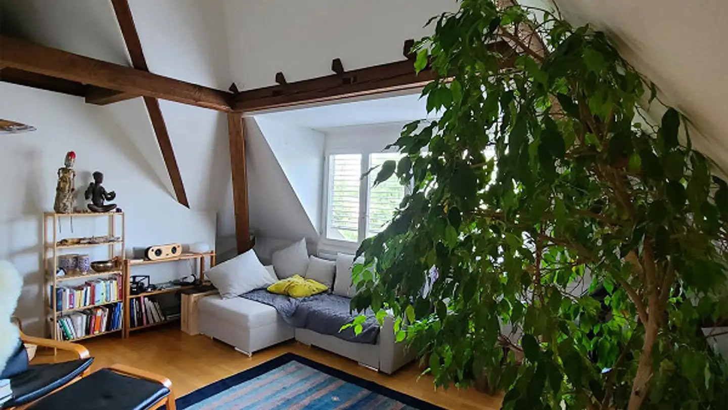Penthouse for rent - Sälistrasse 76, 4600 Olten - Photo 3