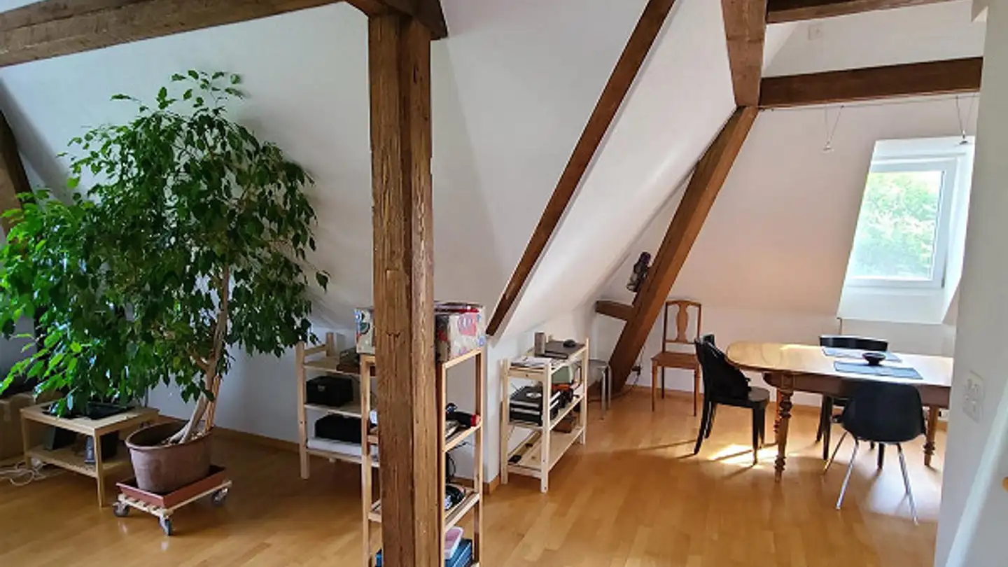 Penthouse for rent - Sälistrasse 76, 4600 Olten - Photo 4