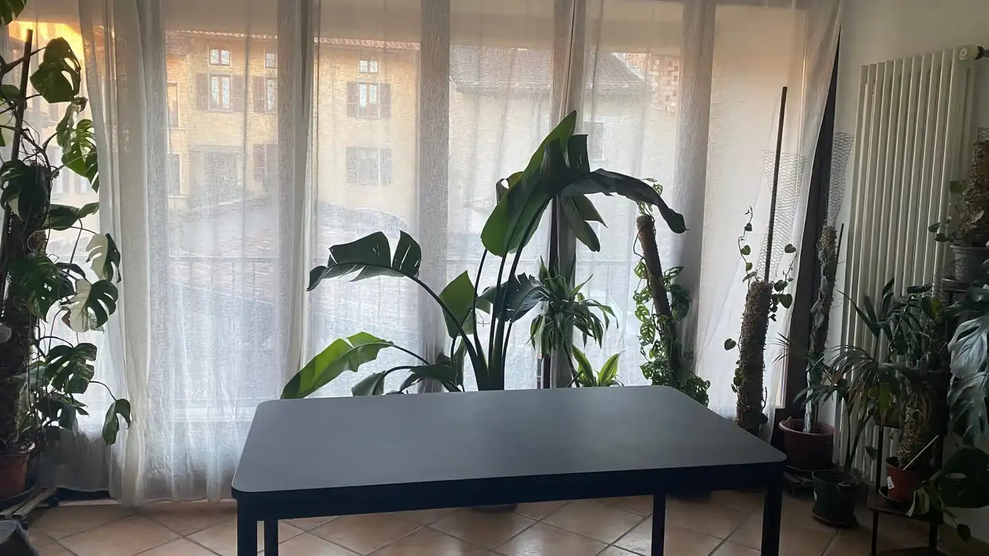 Wohnung mieten - Via Grütli 16a, 6855 Stabio - Foto 3