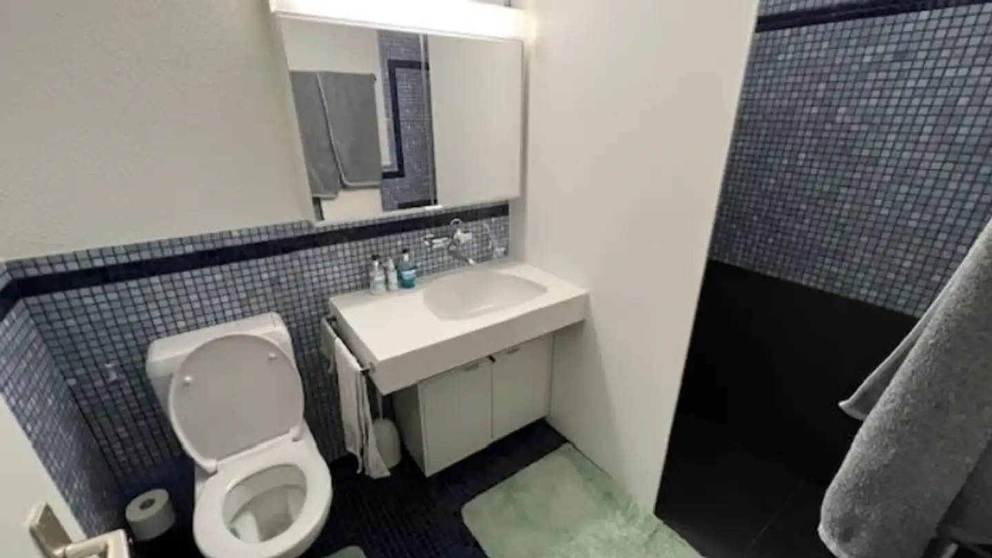 Wohnung kaufen - Flumserbergstrasse 152, 8897 Flumserberg Tannenheim - Foto 2