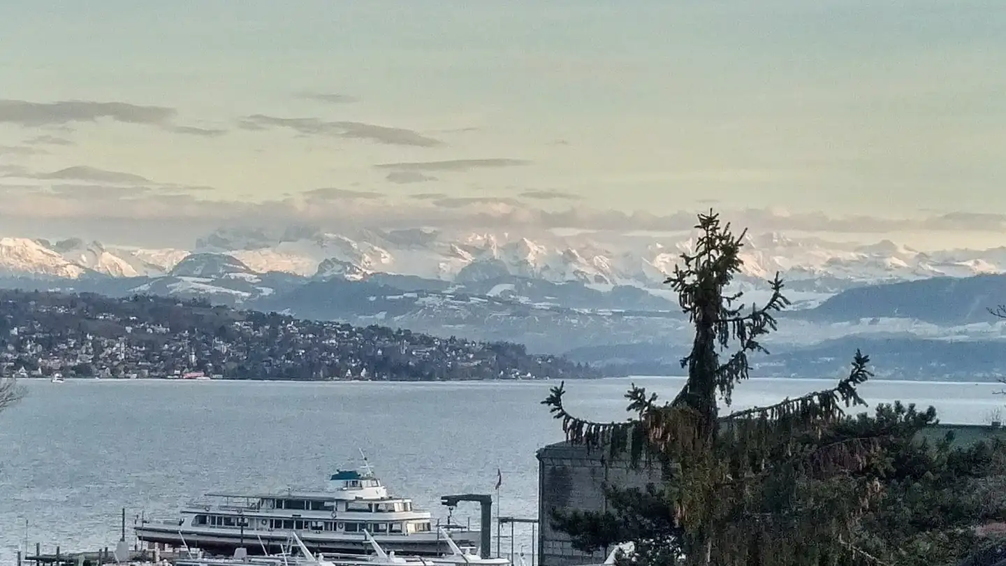 Stanza singola in affitto - 8038 Zürich - Foto 4