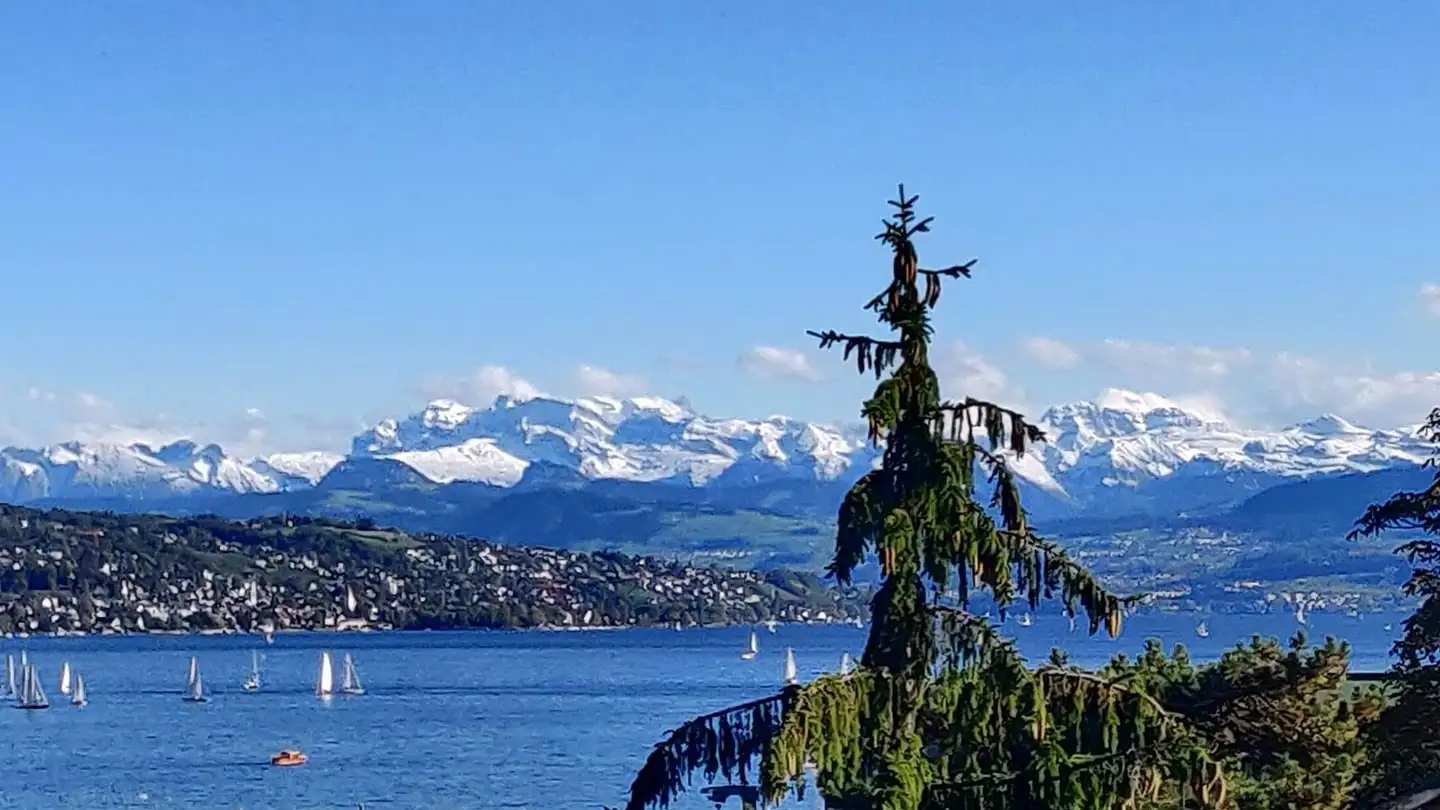 Stanza singola in affitto - 8038 Zürich - Foto 2