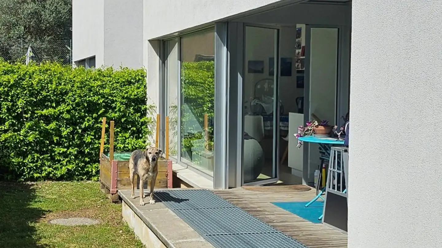 Maison individuelle à vendre - 6826 Riva San Vitale - Photo 3