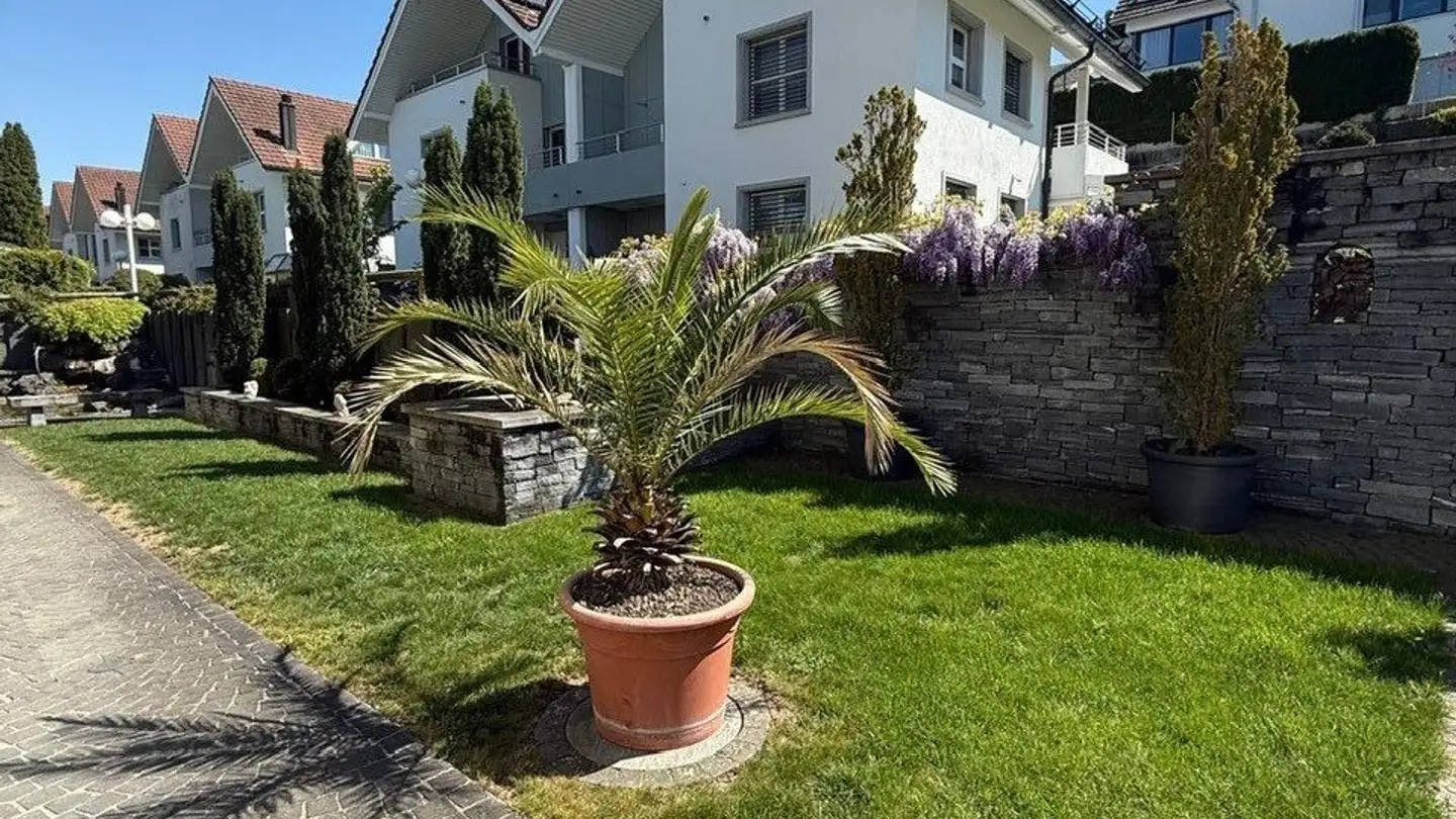 Wohnung mieten - Talstrasse 41, 8852 Altendorf