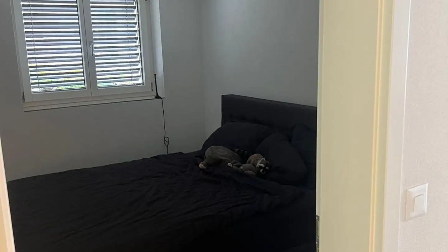 Appartamento a gradini in affitto - Schützenhausstrasse 17, 8267 Berlingen - Foto 4