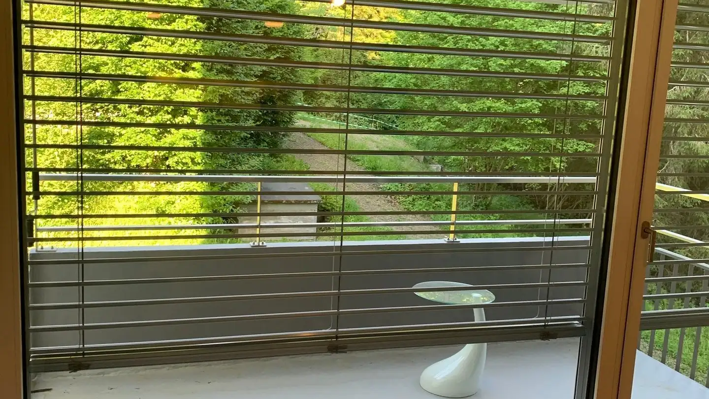 Wohnung mieten - Würzenbachstrasse 66, 6006 Luzern - Foto 4