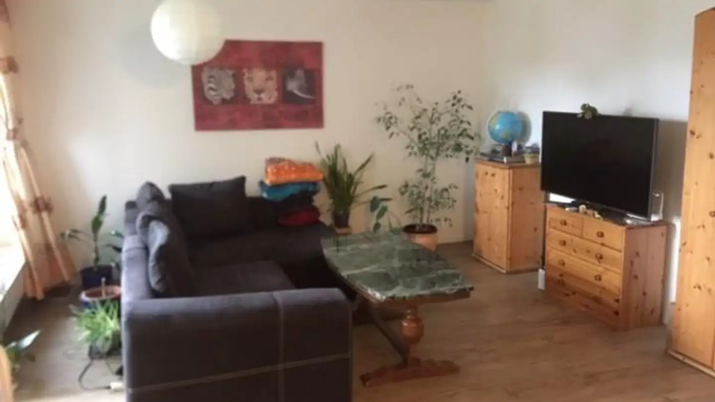 Appartamento in affitto - Striegelgasse 17, 8548 Ellikon an der Thur - Photo 2