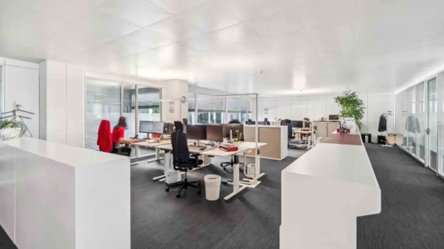 Bürofläche mieten - Lachenstrasse 18, 4123 Allschwil