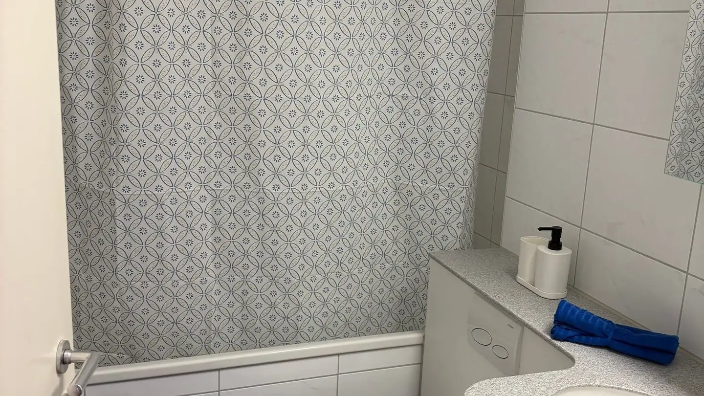 Wohnung mieten - Brüggliäcker 25, 8050 Zürich - Foto 2