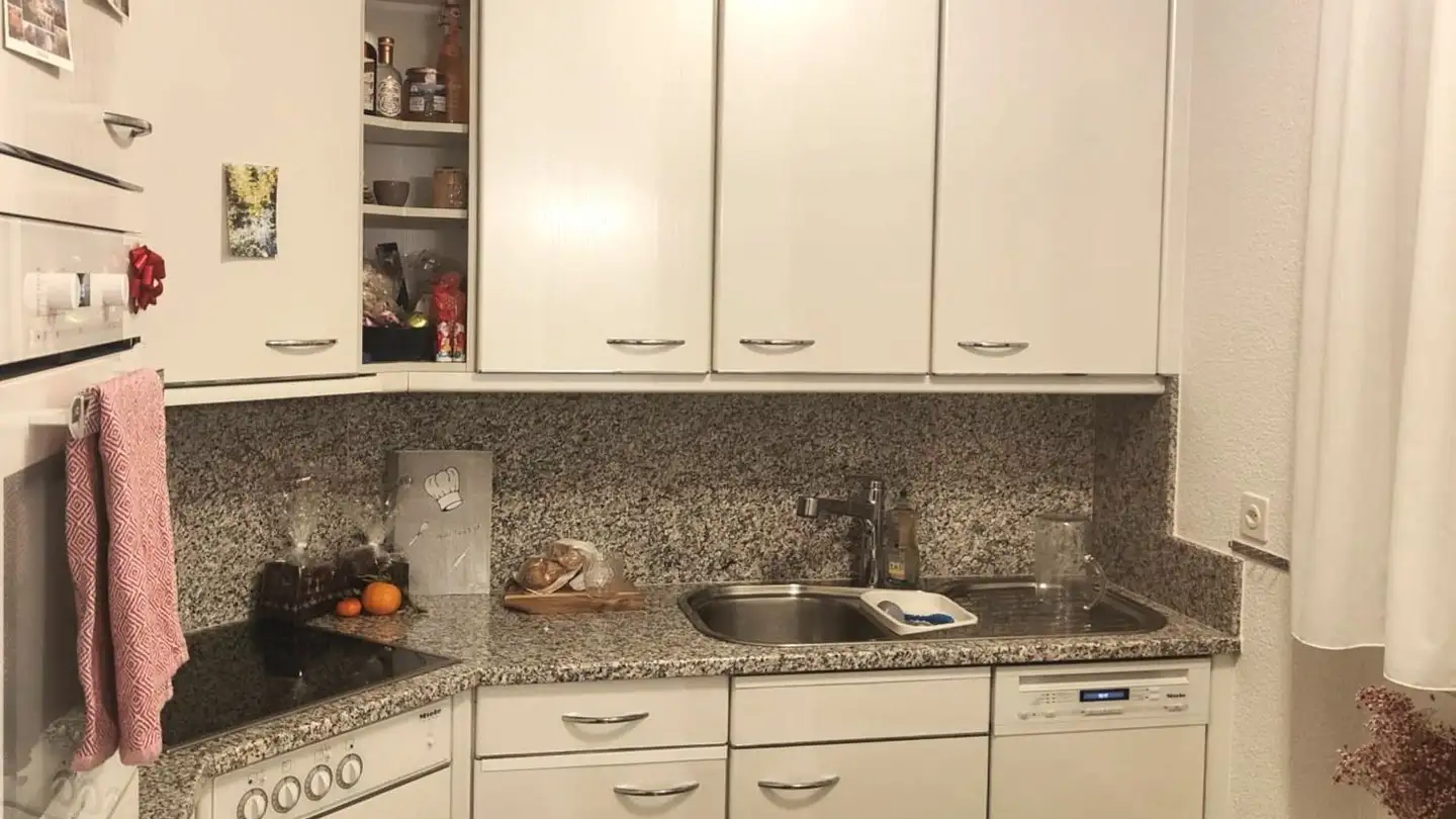 Furnished apartment for rent - Rosenberghalde 12, 6004 Luzern - Photo 3