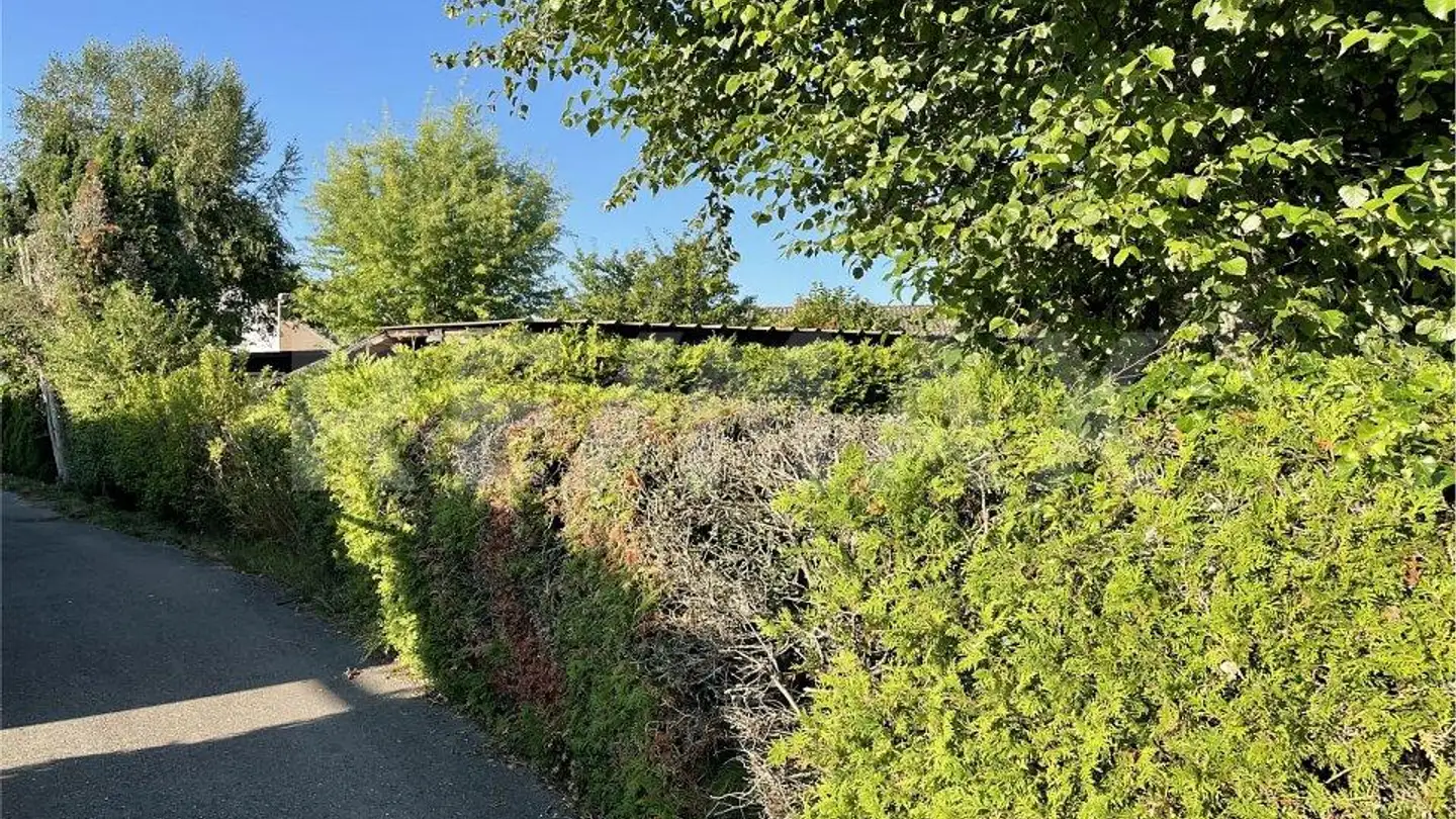 Fattoria in vendita - 1544 Gletterens - Photo 2