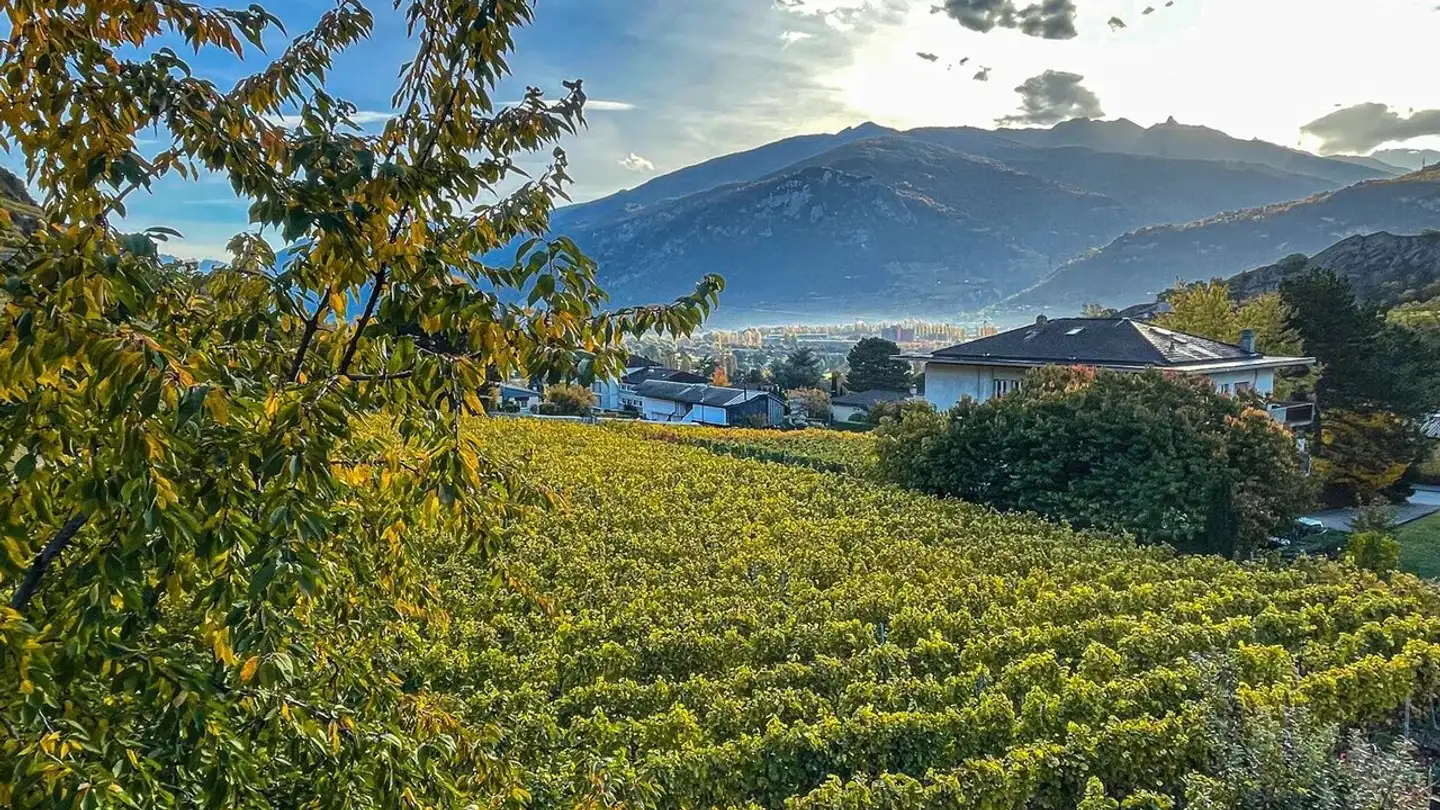 Duplex à louer - 1950 Sion