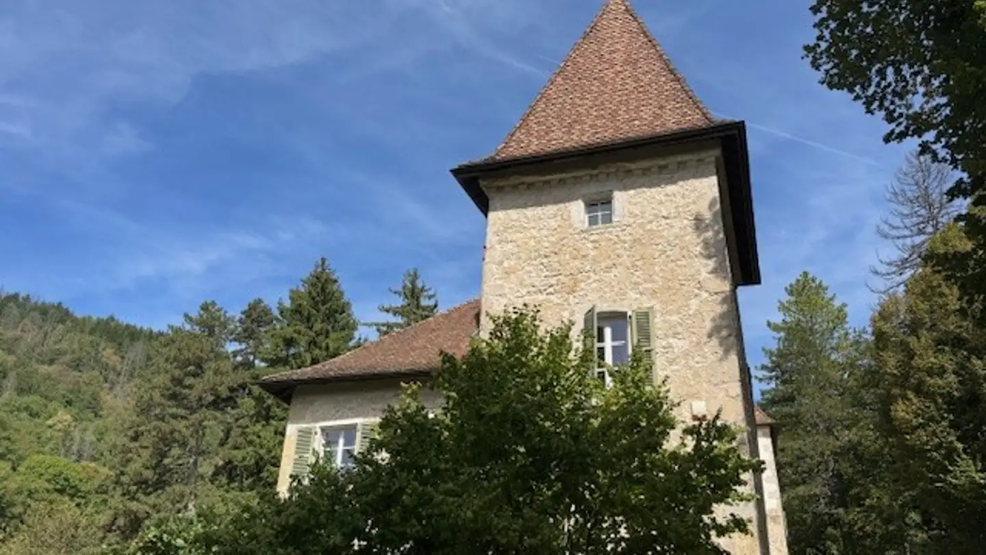 Château à vendre - 1204 Genève - Photo 3