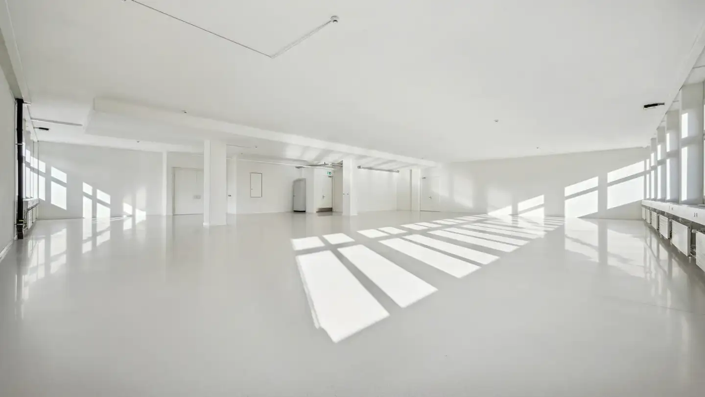 Commerciale in affitto - Honeywell-Platz 1, 8157 Dielsdorf - Foto 2