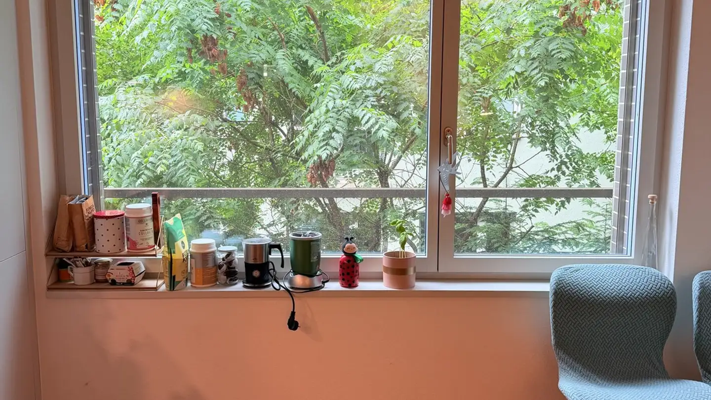 Chambre à louer - Werdstrasse, 8003 Zürich