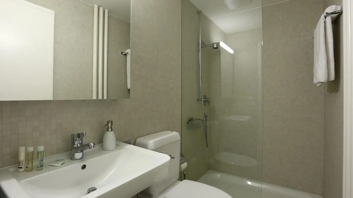 Furnished apartment for rent - Mittlere Strasse 67, 4056 Basel - Photo 4