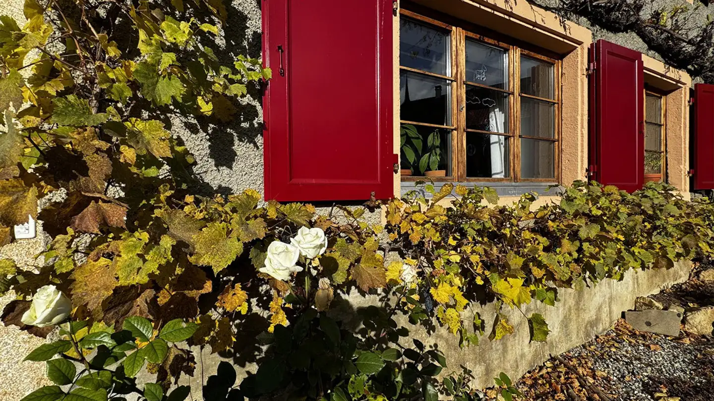 Single house for rent - 4456 Tenniken