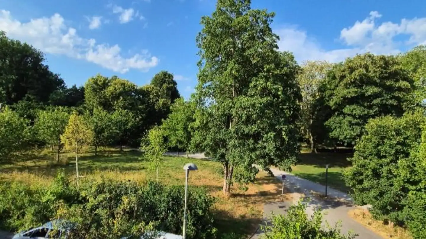 Attic flat for rent - Indermühleweg 1, 3018 Bern