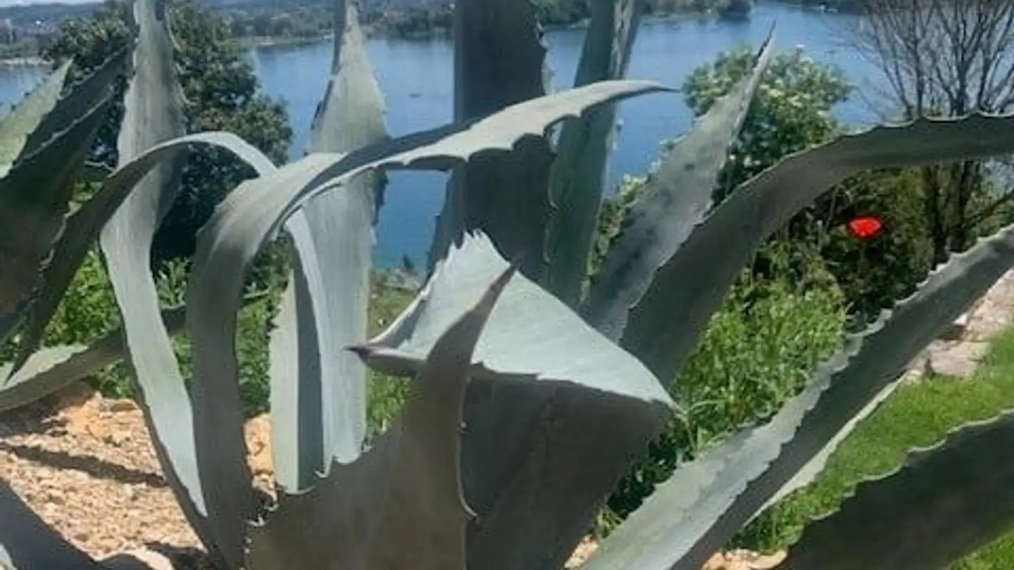 Villa à vendre - 2505 Biel/Bienne - Photo 3