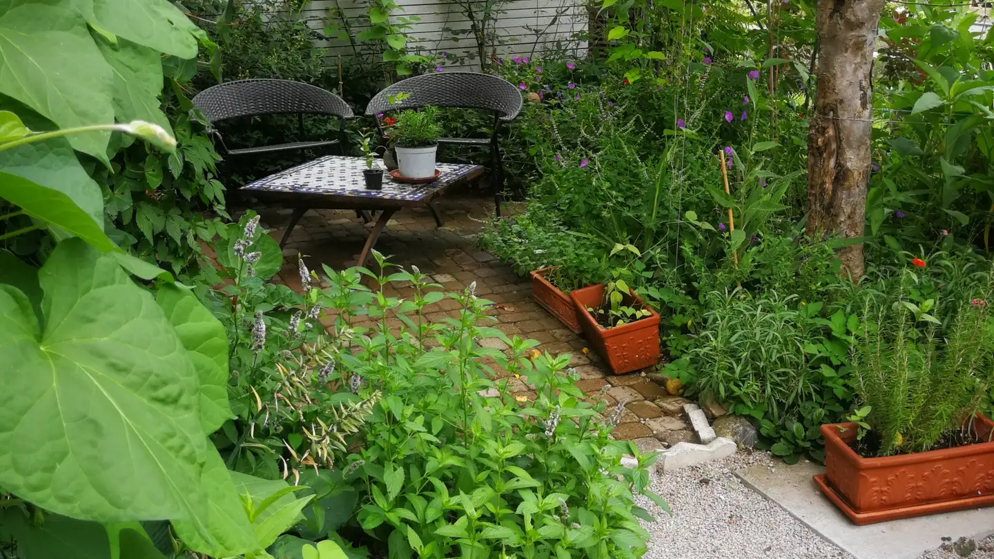 Appartamento in affitto - Unterer Erlenweg 4, 8832 Wollerau - Photo 3