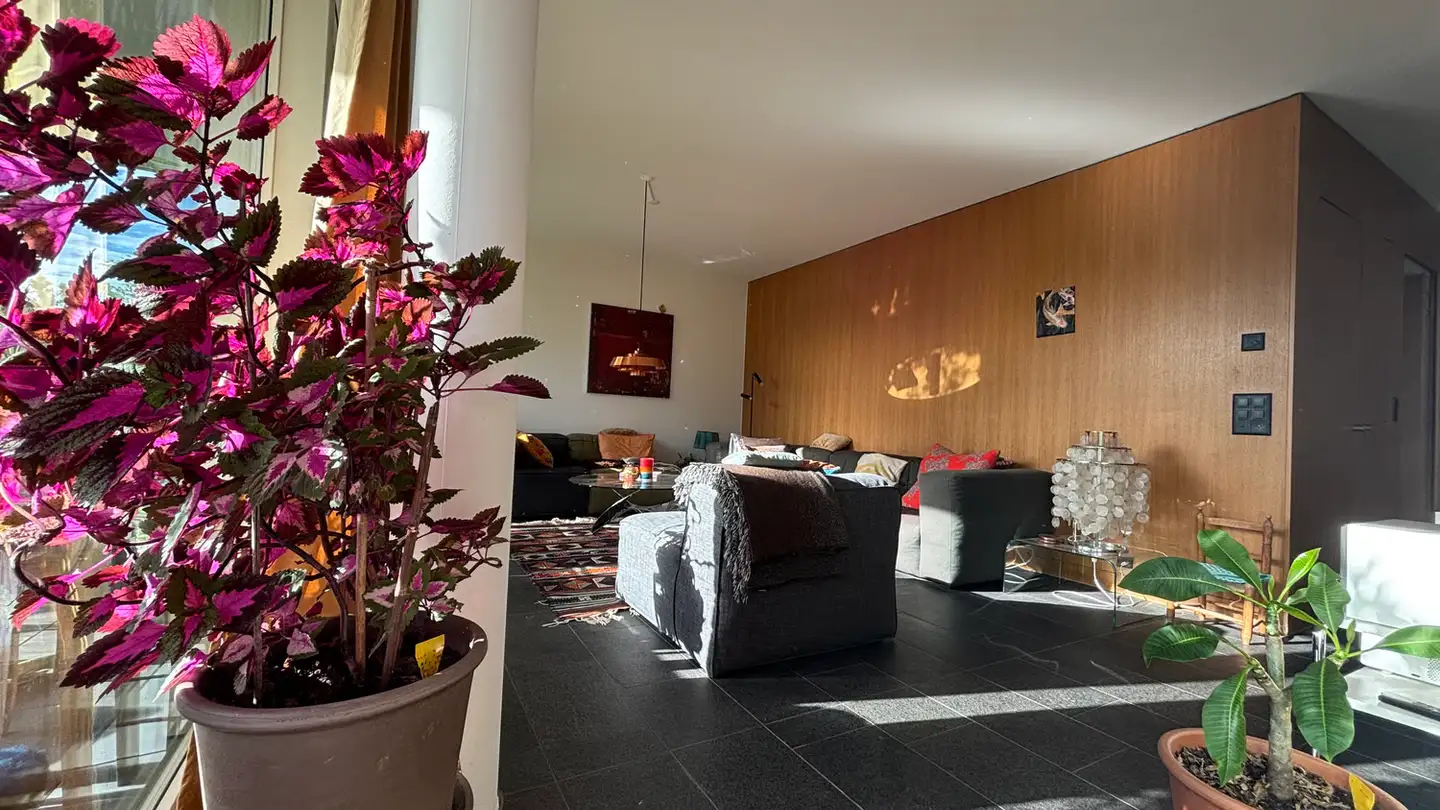 Zimmer mieten - Frauentalweg 110, 8045 Zürich - Foto 3