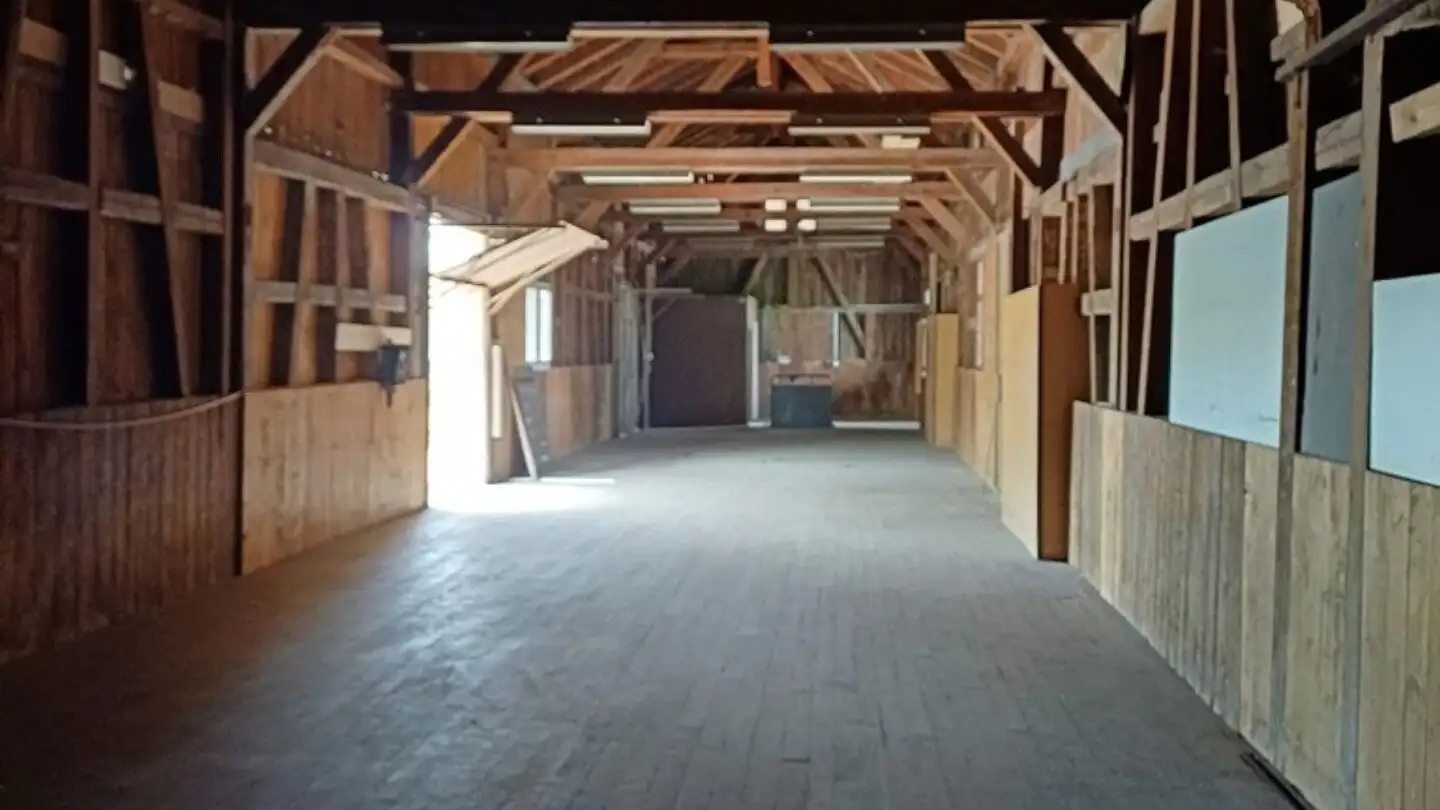 Storage space for rent - Wilerstrasse 14b, 8370 Sirnach - Photo 4