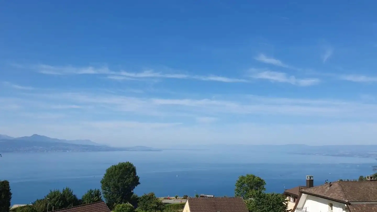 Penthouse for sale - 1091 Grandvaux - Photo 2