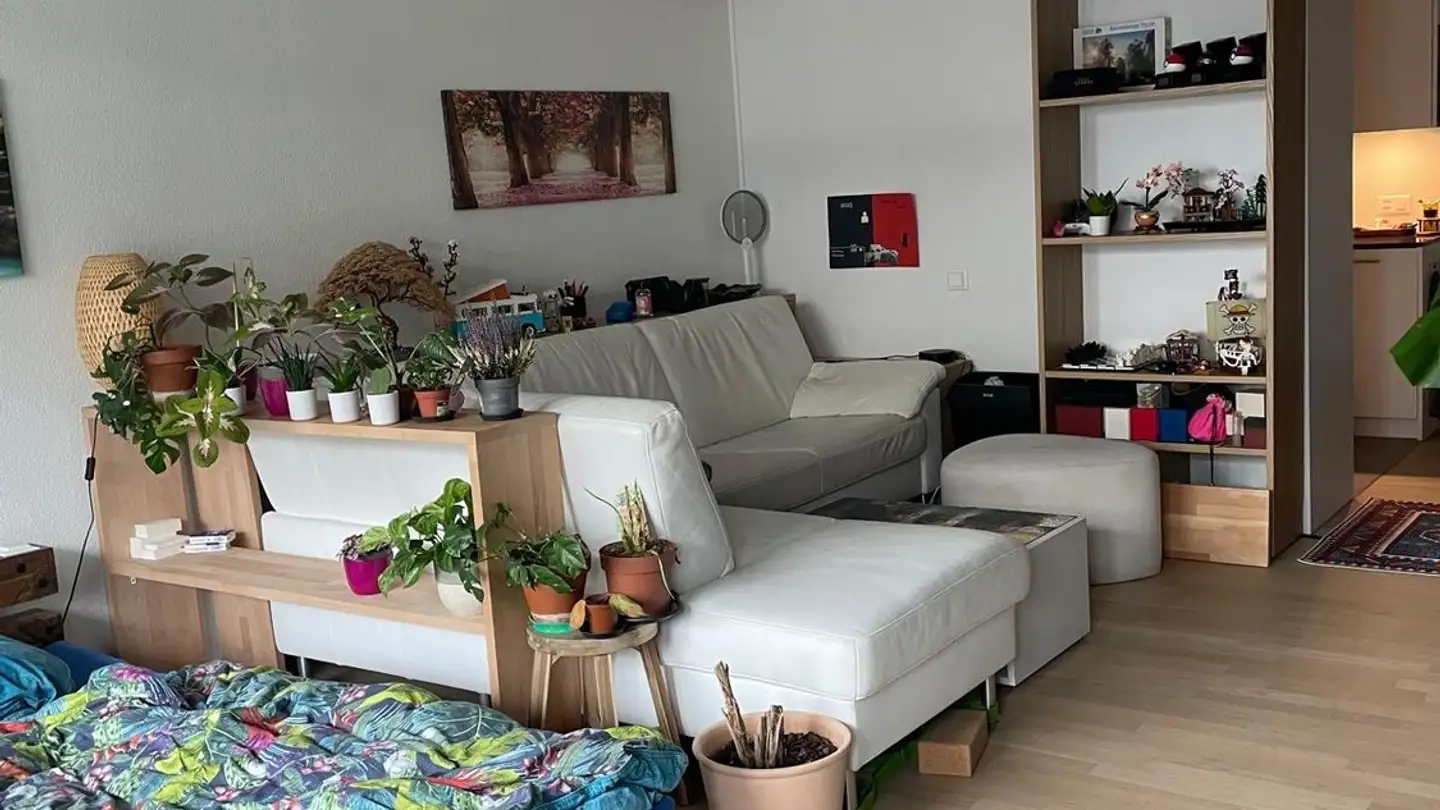 Appartamento in affitto - Sulgeneckstrasse 64, 3005 Bern - Foto 2