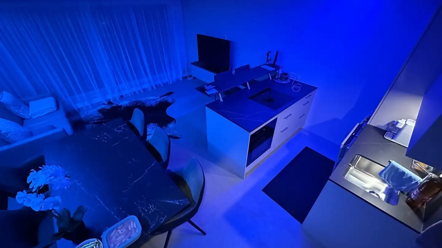 Studio for rent - Rigiweg 2, 6354 Vitznau - Photo 3