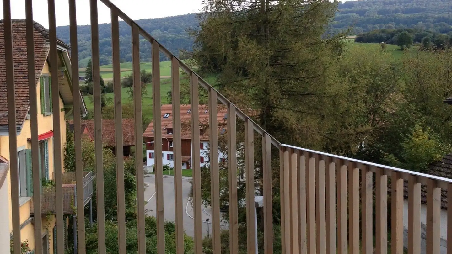 Appartement à louer - Ämetstrasse 10, 8166 Niederweningen - Photo 4