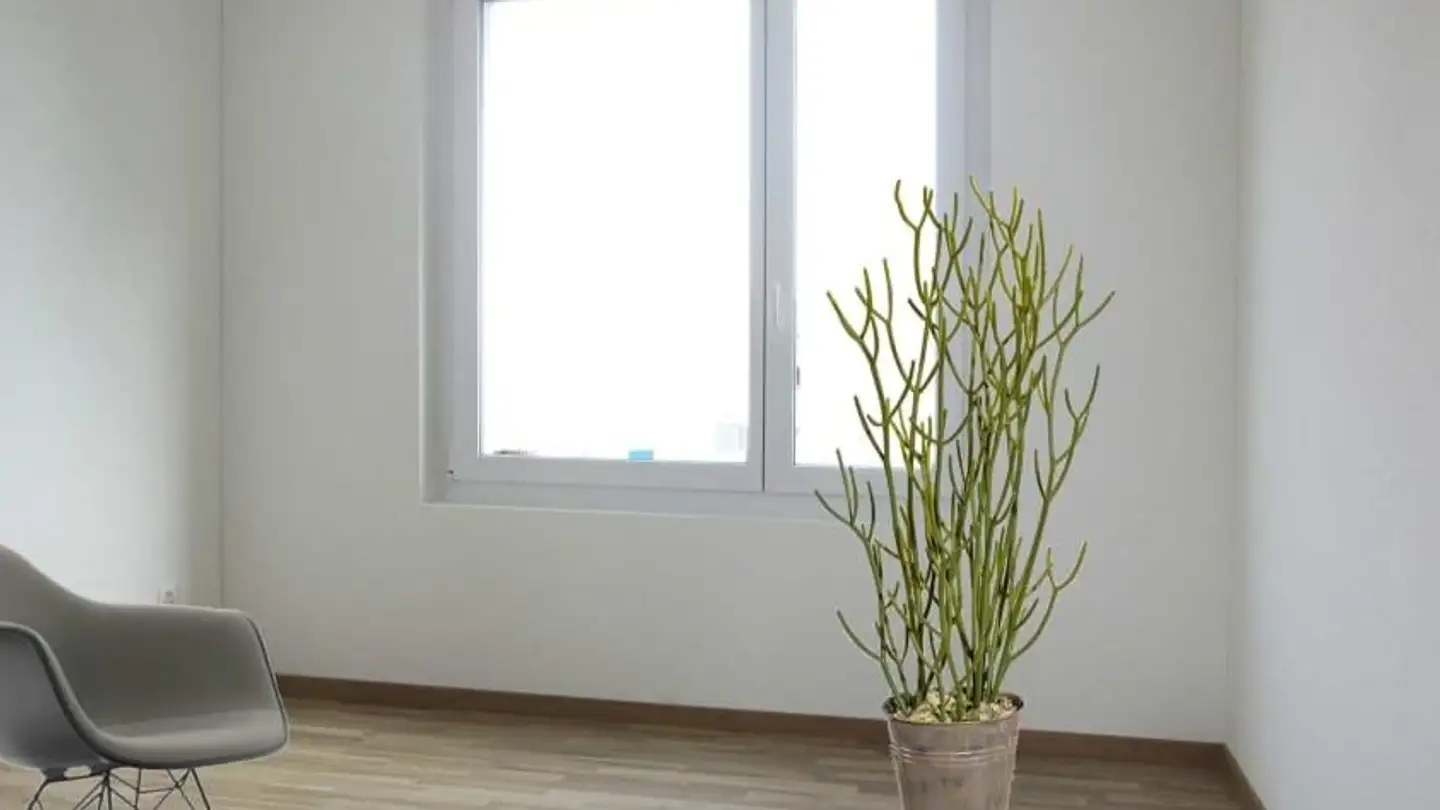 Wohnung mieten - Sonnhaldenstrasse 4, 4653 Obergösgen - Foto 4