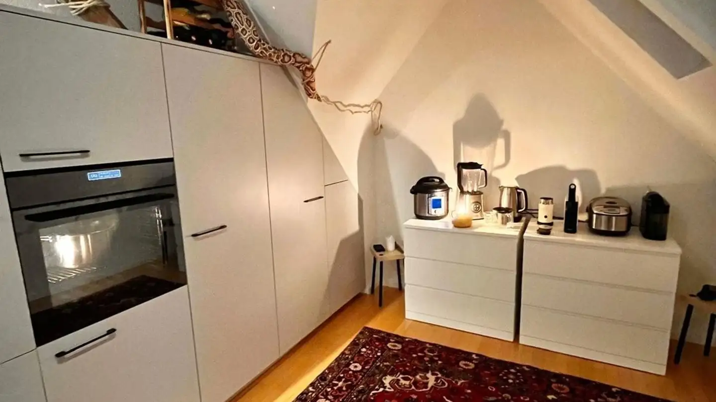 Furnished apartment for rent - 3006 Bern - Photo 3