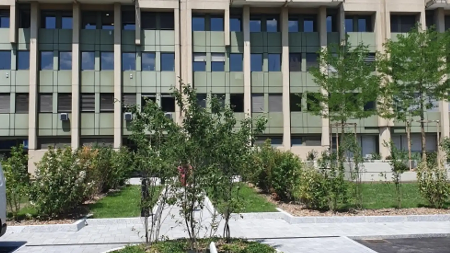 Casa singola in affitto - Rue François- Perréard 16, 1225 Chêne-Bourg - Photo 2