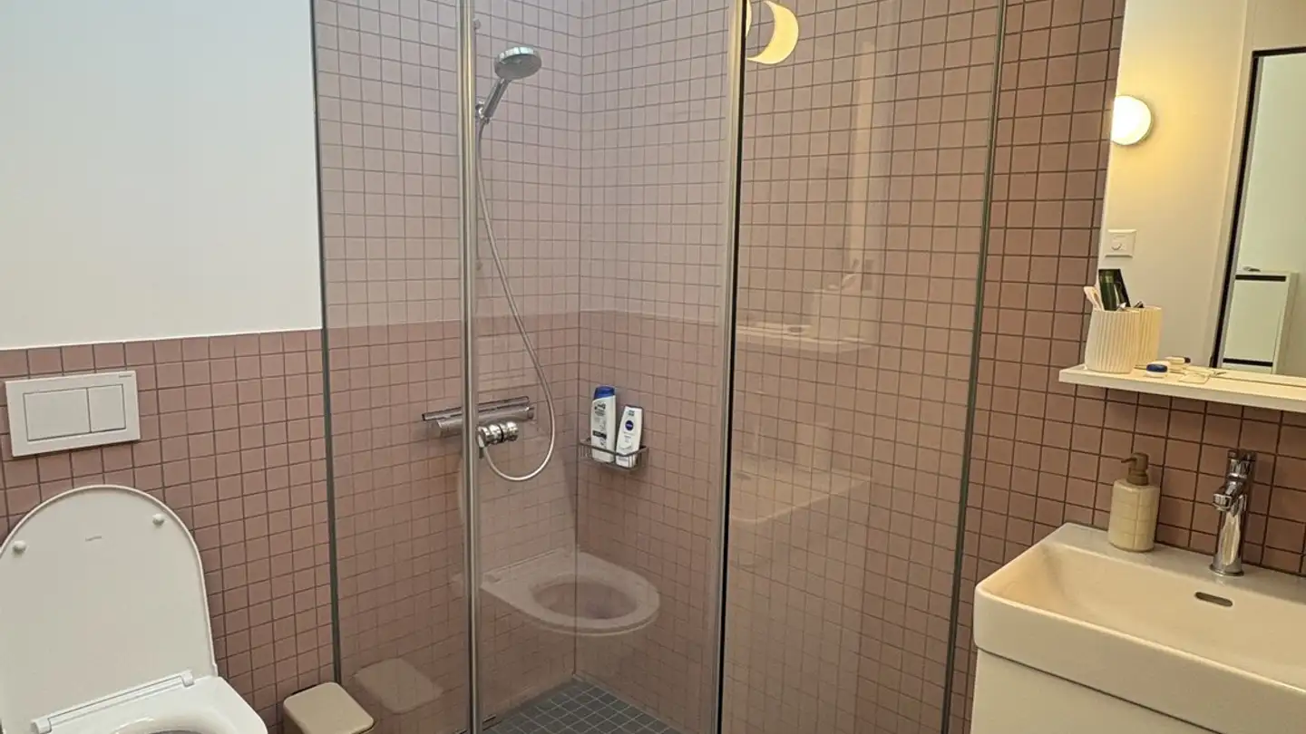 Appartement à louer - Birmensdorferstrasse 485, 8055 Zürich - Photo 4