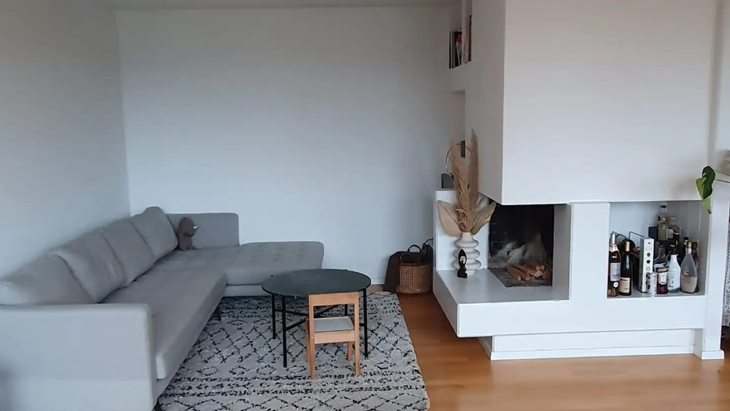 Apartment for rent - 8706 Meilen