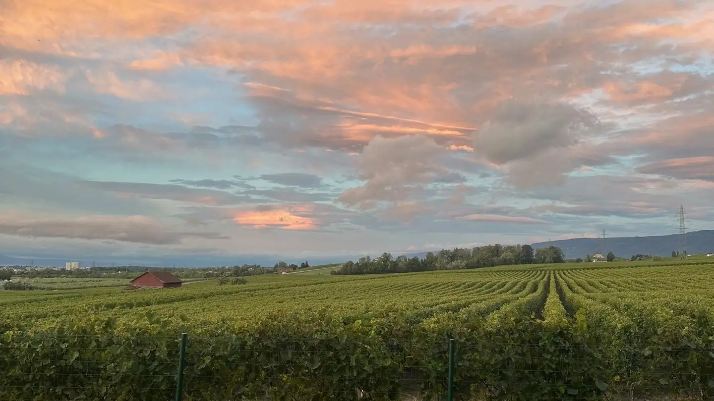 Wohnung mieten - Chemin De La Vyborne 13, 1184 Luins