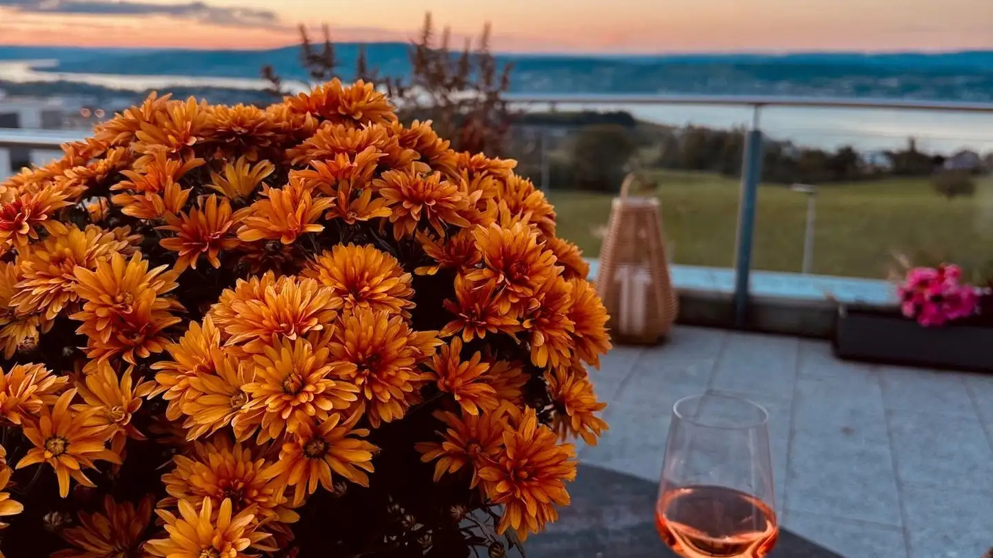 Penthouse for rent - Pfäffikonerstrasse 23, 8834 Schindellegi - Photo 2