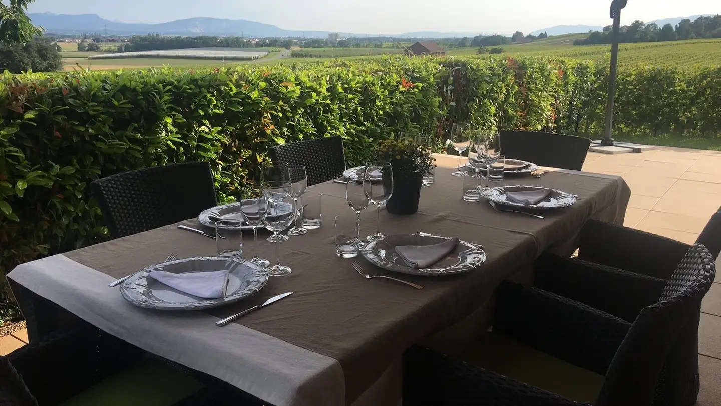 Appartamento in affitto - Chemin De La Vyborne 13, 1184 Luins - Photo 2