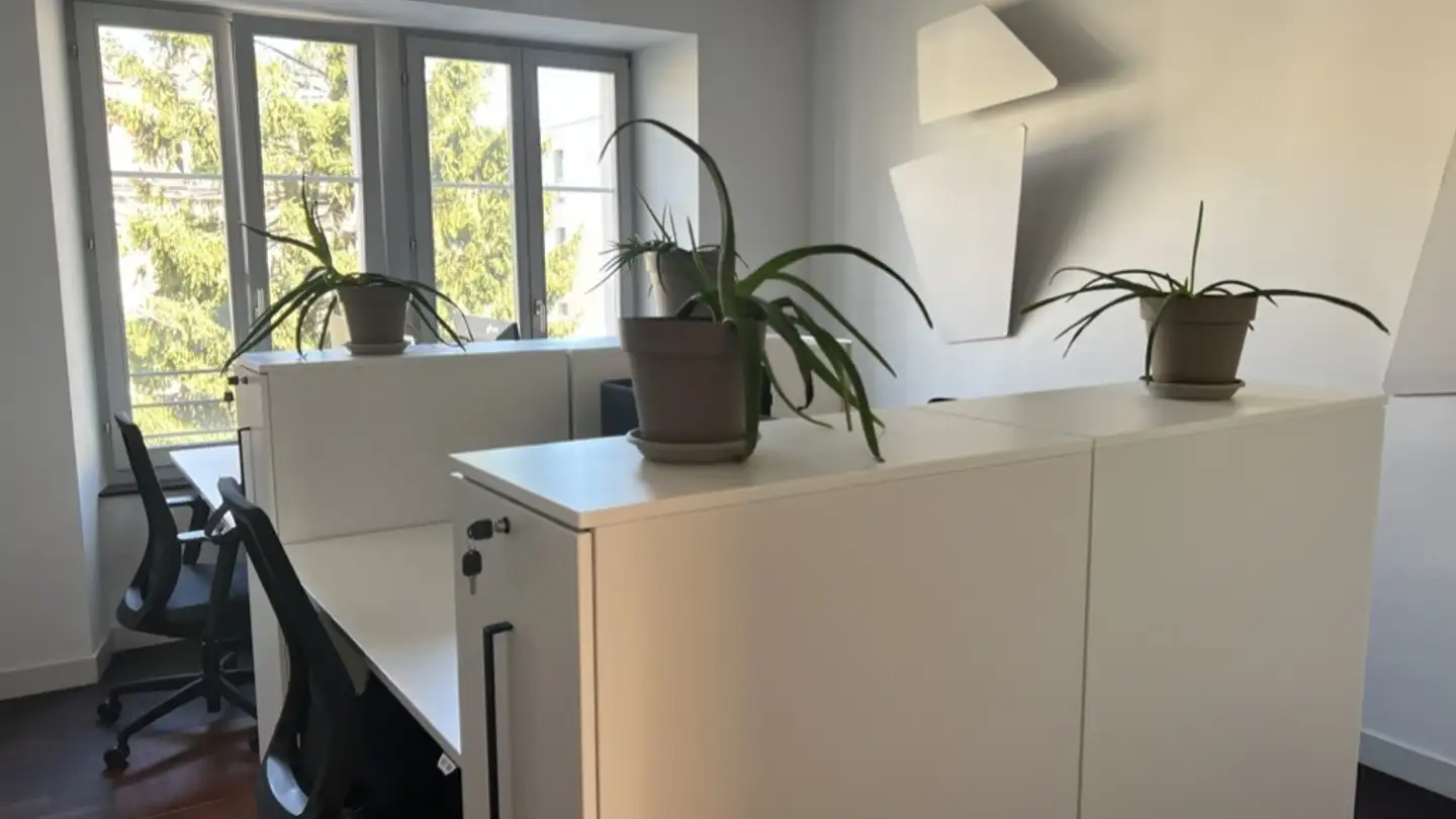 Commercial for rent - Place Numa-Droz 2, 2000 Neuchâtel - Photo 2