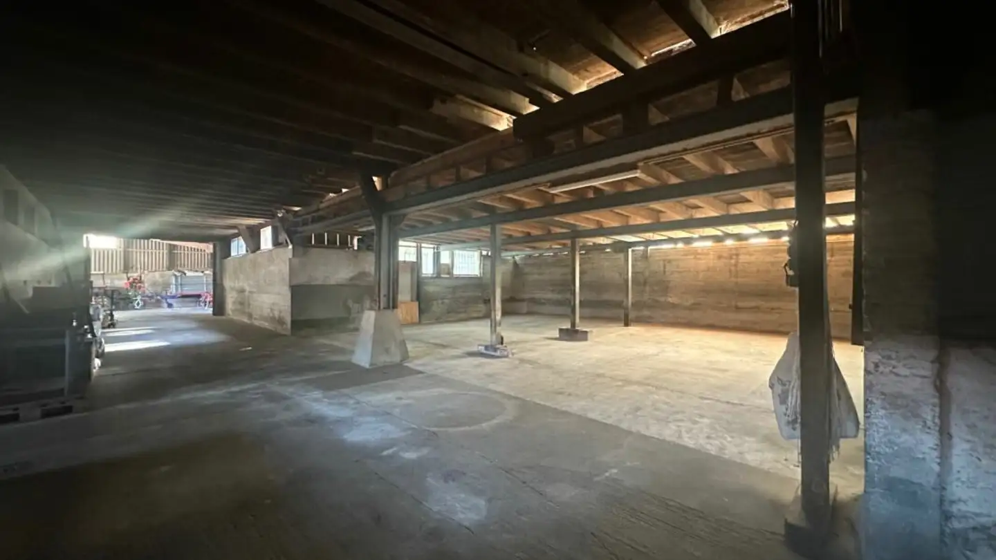 Lagerraum mieten - Höcklerhof, 8962 Bergdietikon - Foto 2