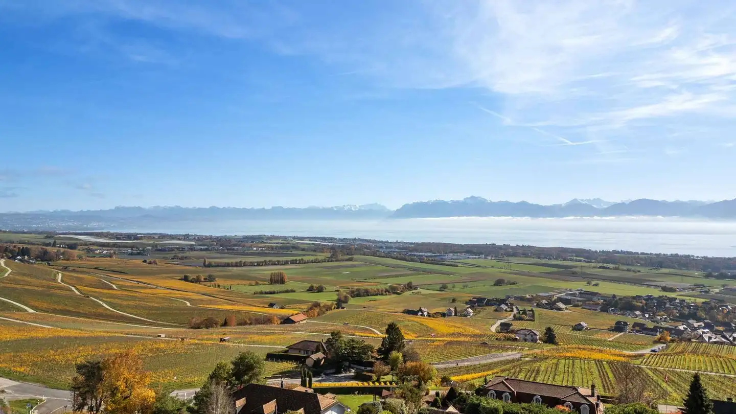 Villa for sale - 1173 Féchy - Photo 2