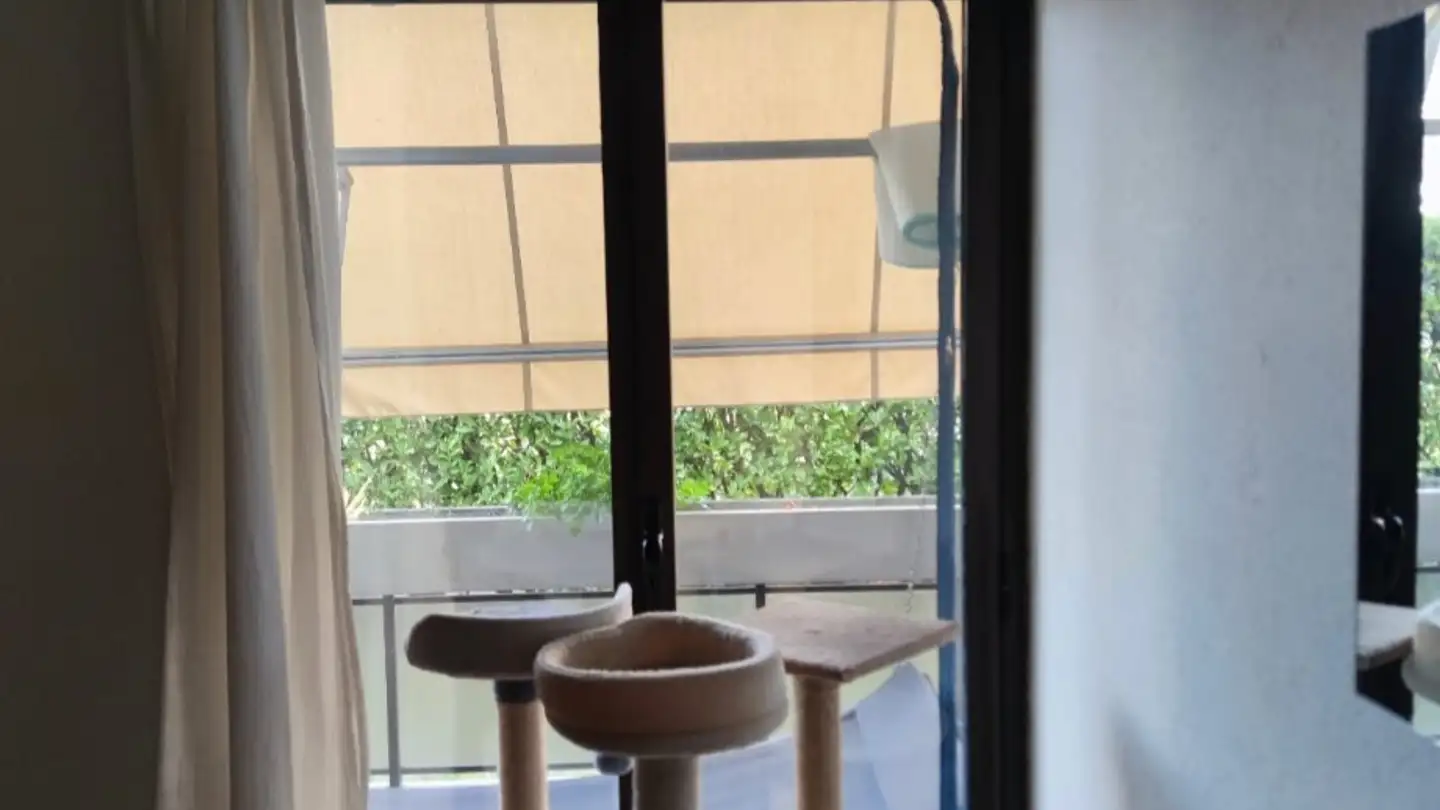 Wohnung mieten - Via Alfredo Pioda 35, 6600 Locarno - Foto 2