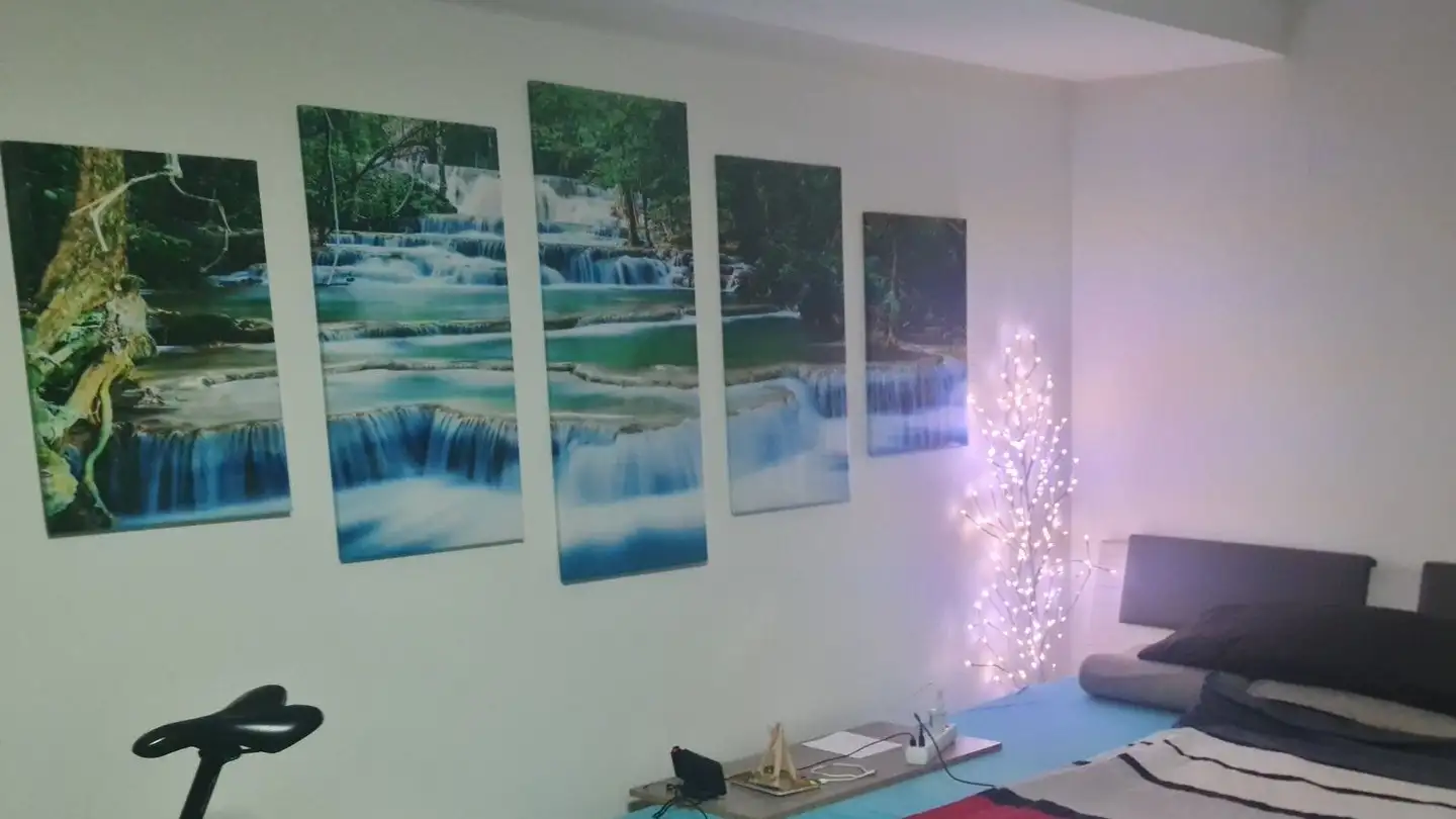 Stanza singola in affitto - Herrenweg 15, 4153 Reinach BL