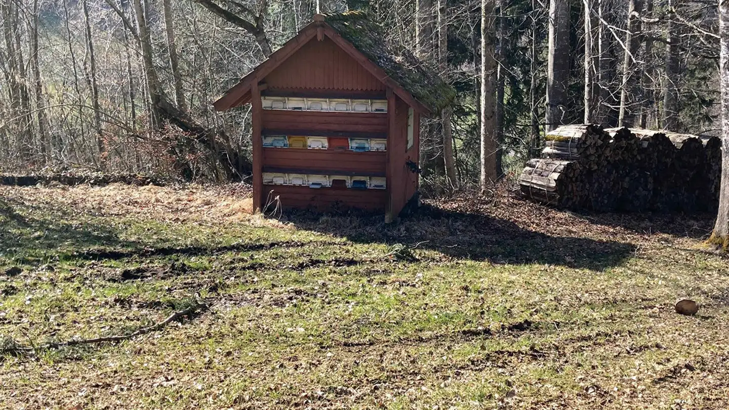 Immobile in vendita - 9100 Herisau