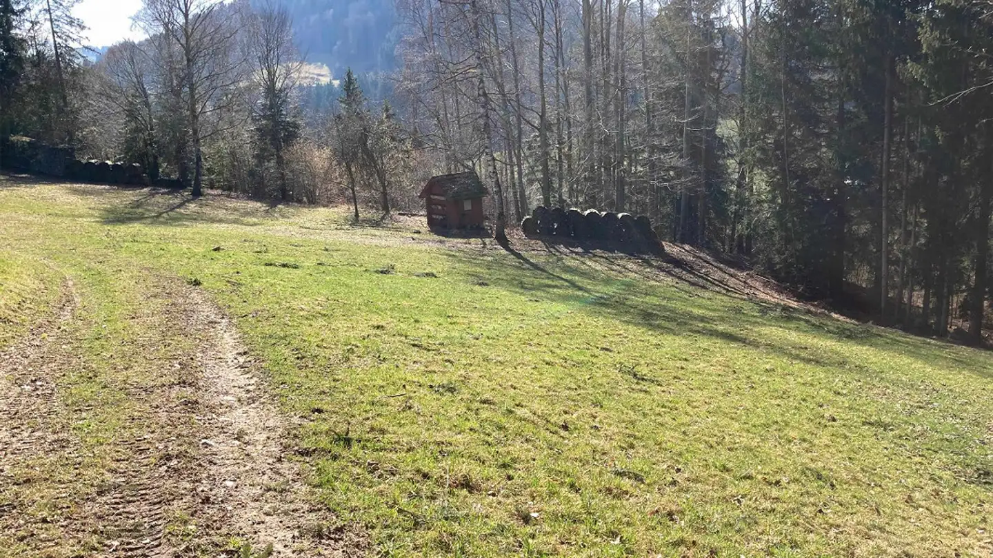 Immobile in vendita - 9100 Herisau - Foto 2