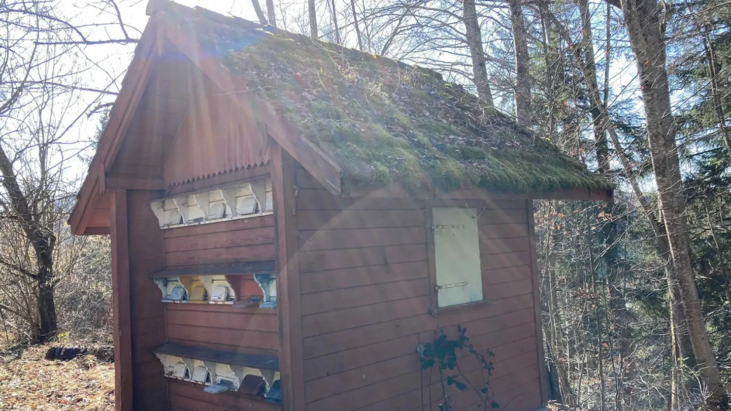 Immobile in vendita - 9100 Herisau - Foto 3