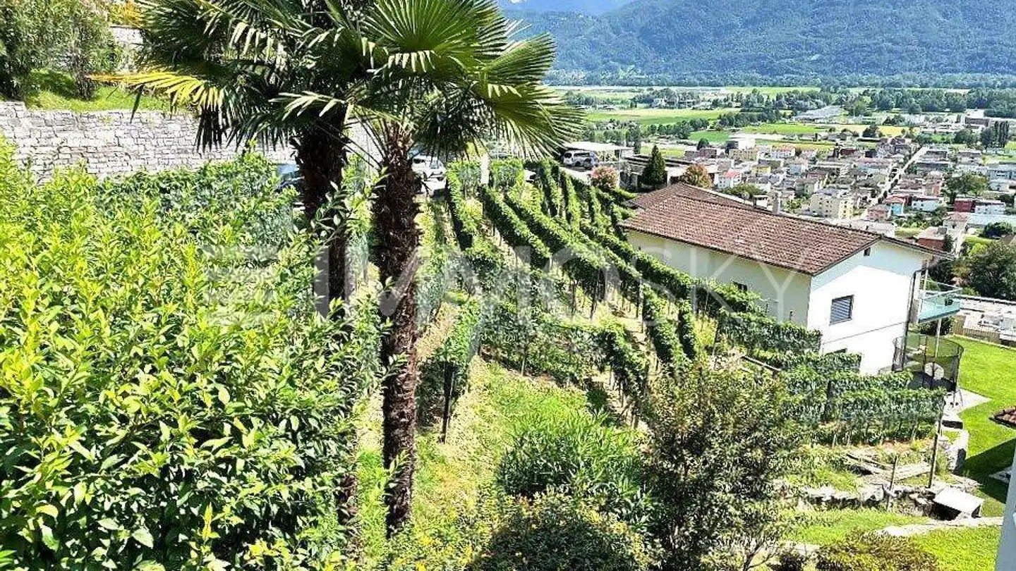 Constructible plot for sale - 6596 Gordola - Photo 3