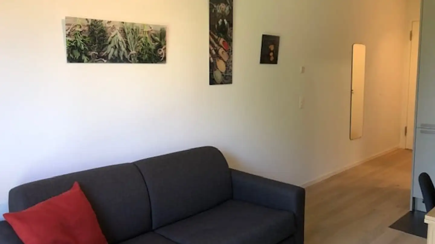 Appartamento in affitto - Le Grand-Chemin, 1066 Epalinges - Foto 4